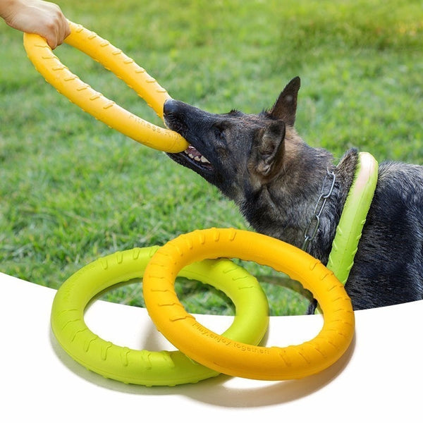 Dog Agility Training Toys EVA Ring Dogs Puppy - Thepetlifestyle