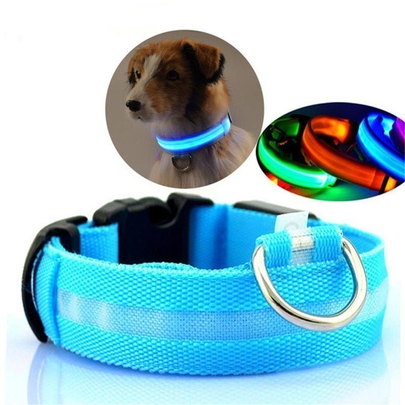 LED Dog Collar Night Safety Flashing - Thepetlifestyle