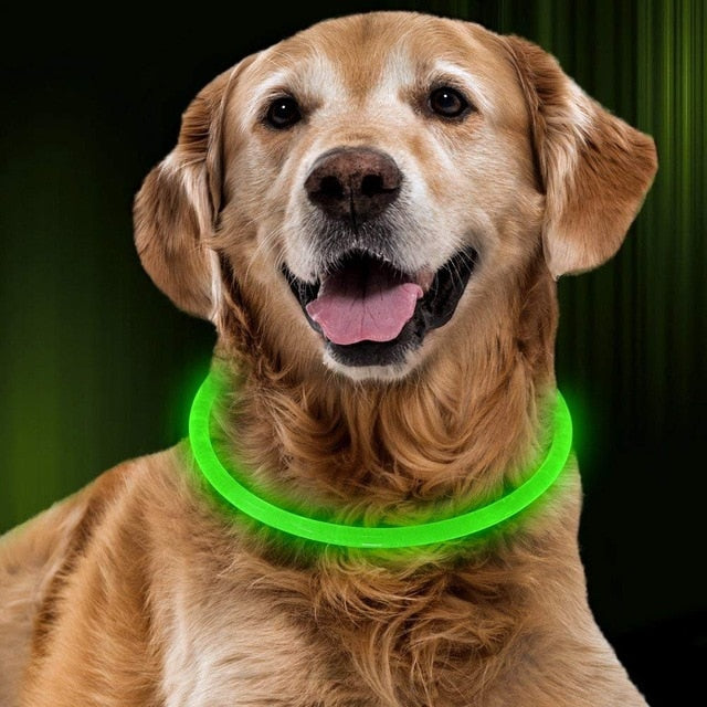 LED Dog Collar Light USB Rechargeable Collars - Thepetlifestyle