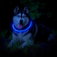 LED Dog Collar Light USB Rechargeable Collars - Thepetlifestyle