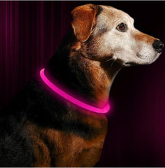 LED Dog Collar Light USB Rechargeable Collars - Thepetlifestyle